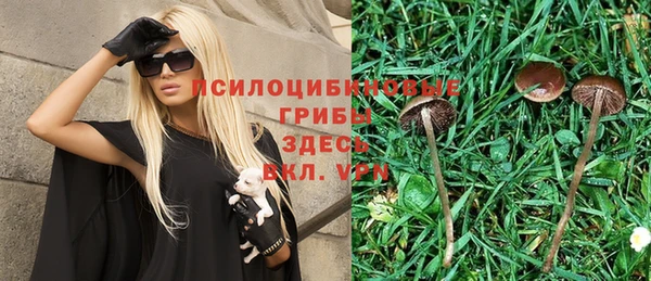 соль ск Абаза