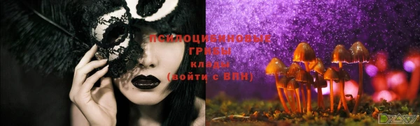 марихуана Новодвинск