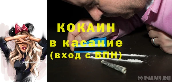 соль ск Абаза